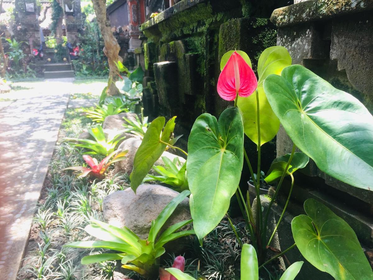 图恩格民宿 乌布 外观 照片